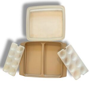 Vintage Tupperware Deviled Egg Keeper Carrier Tray Container Almond 723-1 B-4